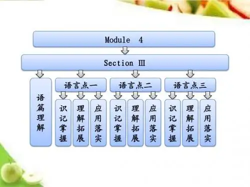 高一英语外研版必修二 课件 Module 4  Section Ⅲ Other Parts of the Module
