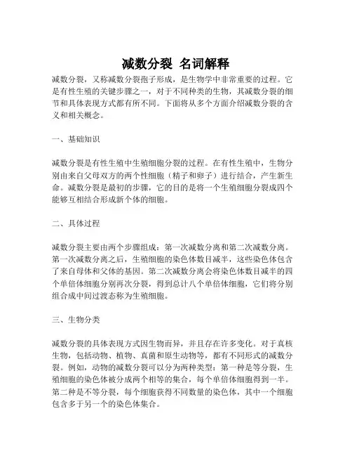 减数分裂 名词解释
