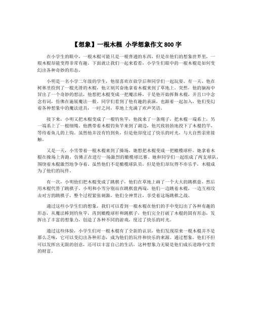 【想象】一根木棍 小学想象作文800字