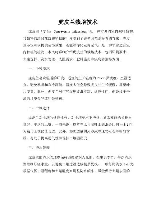 虎皮兰栽培技术