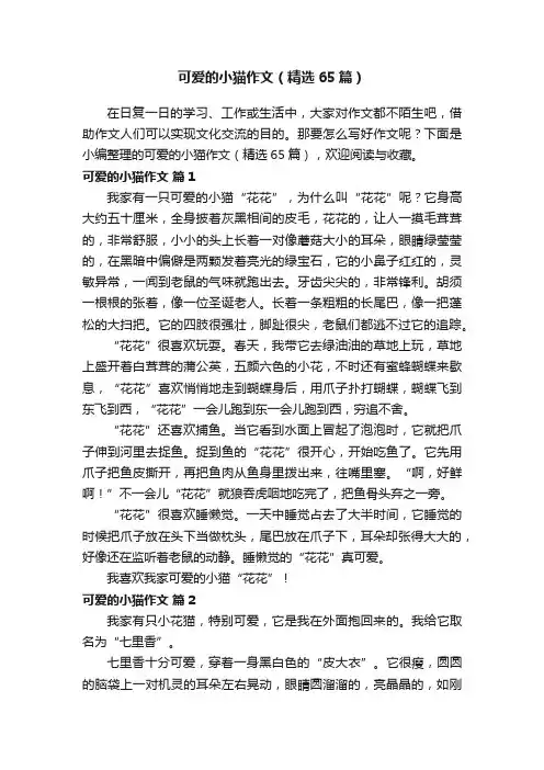 可爱的小猫作文（精选65篇）