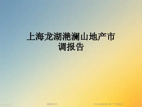 上海龙湖滟澜山地产市调报告