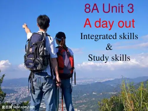 牛津译林版八年级英语上Unit3 integrated skills课件