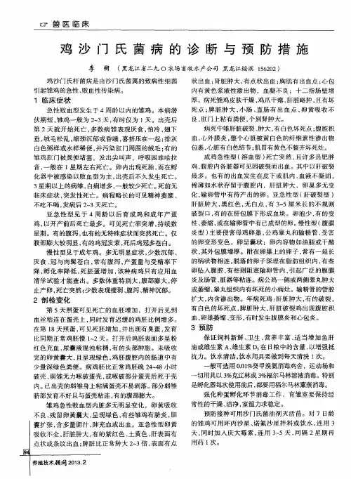 鸡沙门氏菌病的诊断与预防措施