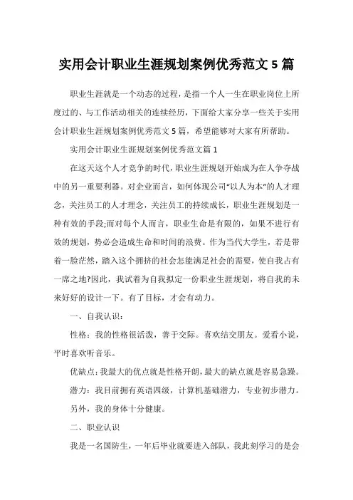 实用会计职业生涯规划案例优秀范文5篇