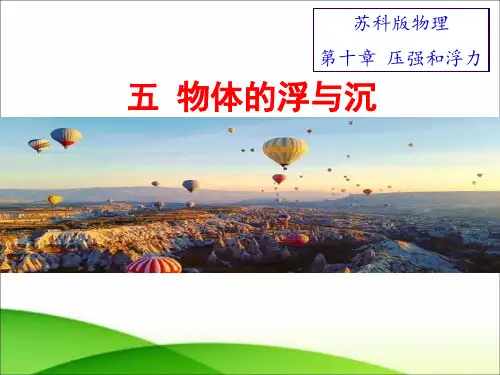 苏科版八年级10.5物体的浮与沉  课件(共28张PPT )