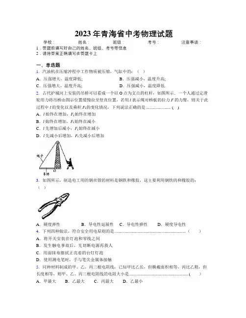 2023年青海省中考物理试题附解析
