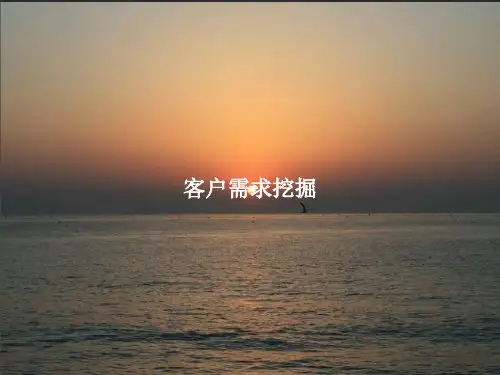 《客户需求挖掘》PPT课件教案