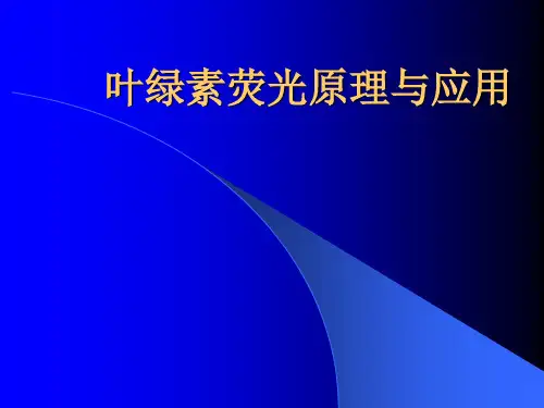叶绿素荧光原理与应用
