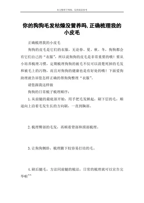 你的狗狗毛发枯燥没营养吗,正确梳理我的小皮毛