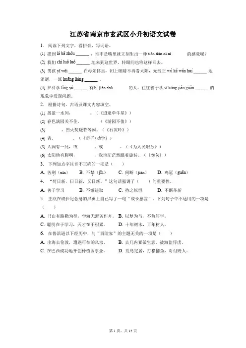 最新整理江苏省南京市玄武区小升初语文试卷和答案解析