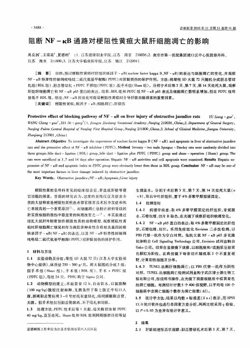 阻断NF-κB通路对梗阻性黄疸大鼠肝细胞凋亡的影响