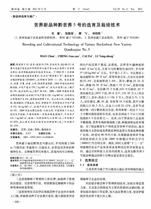 苦荞新品种黔苦荞5号的选育及栽培技术