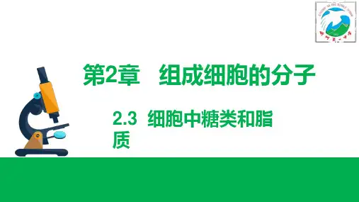2.3细胞中糖类和脂质 课件-人教版(2019)高一生物上册