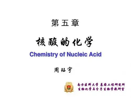第5章核酸的化学