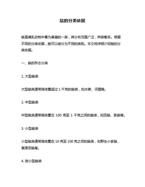 鼠的分类依据