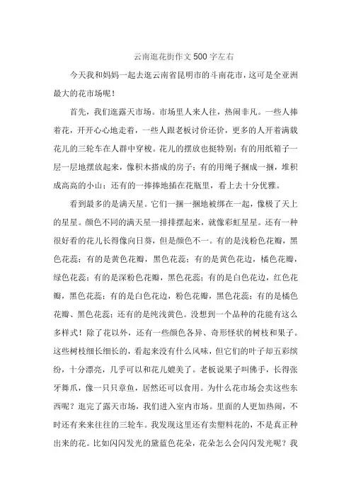 云南逛花街作文500字左右