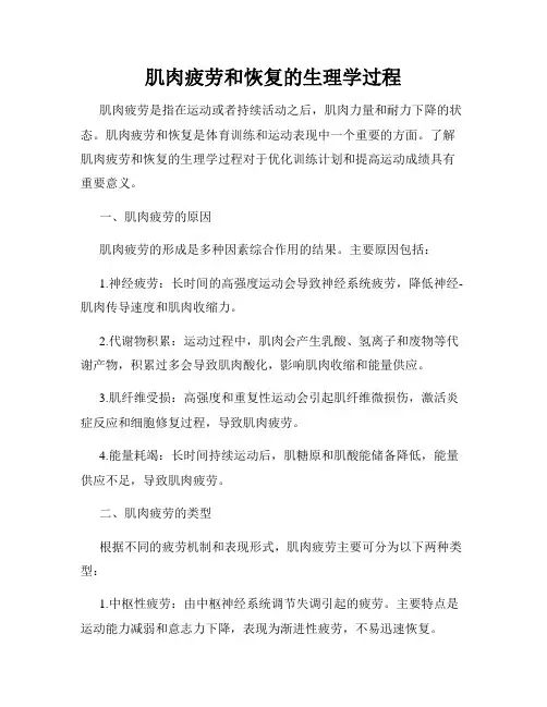 肌肉疲劳和恢复的生理学过程