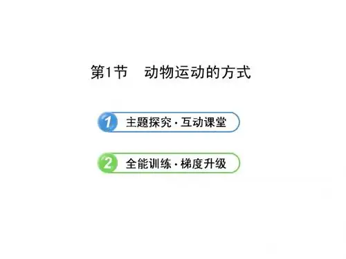 5.15.1动物运动的方式(北师大版八年级上)