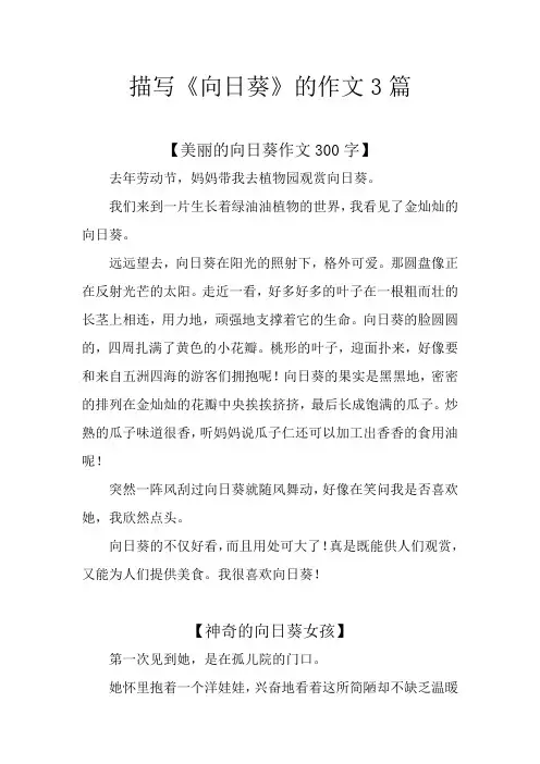 描写《向日葵》的作文3篇