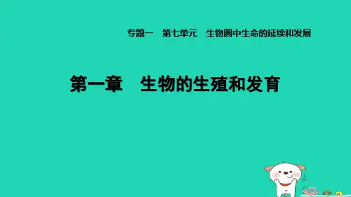 2024八年级生物下册专题一第七单元第一章生物的生殖和发育课件新版新人教版