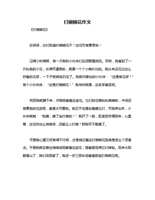 打碗碗花作文