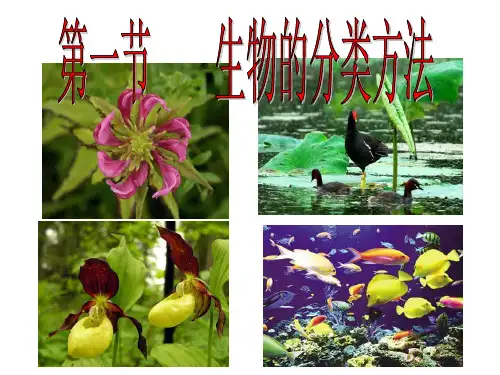 济南版七上生物 2.4.1 生物的分类方法.(共35张PPT)