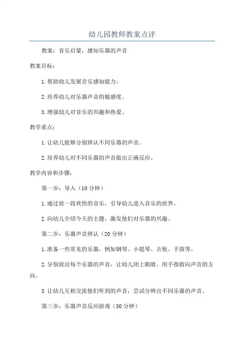 幼儿园教师教案点评