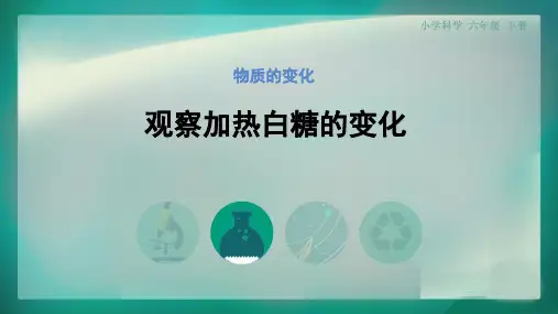 新教科版六年级下册科学第二单元《1.观察加热白糖的变化》PPT课件