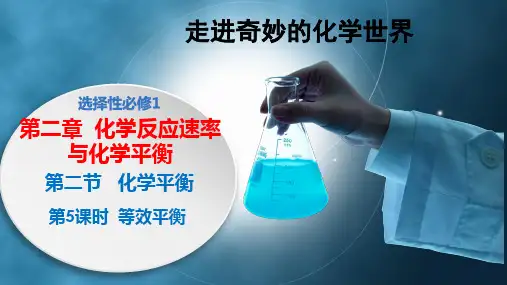 高中化学人教版选择性必修12.2.5等效平衡