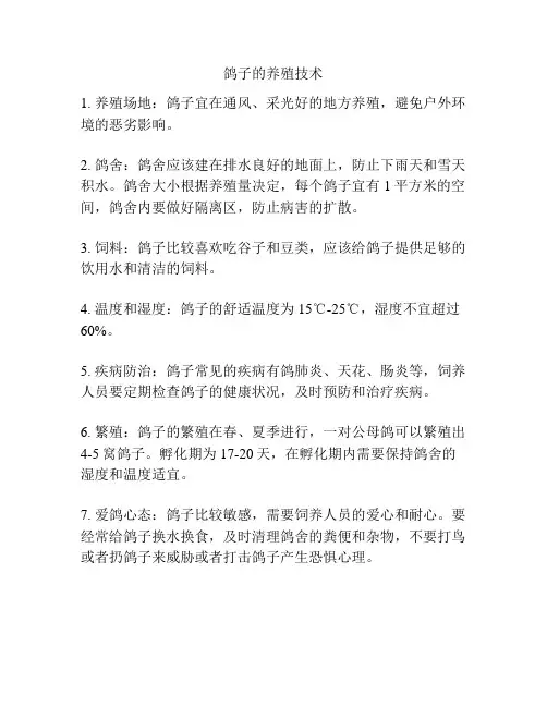 鸽子的养殖技术