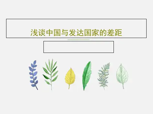 浅谈中国与发达国家的差距30页PPT