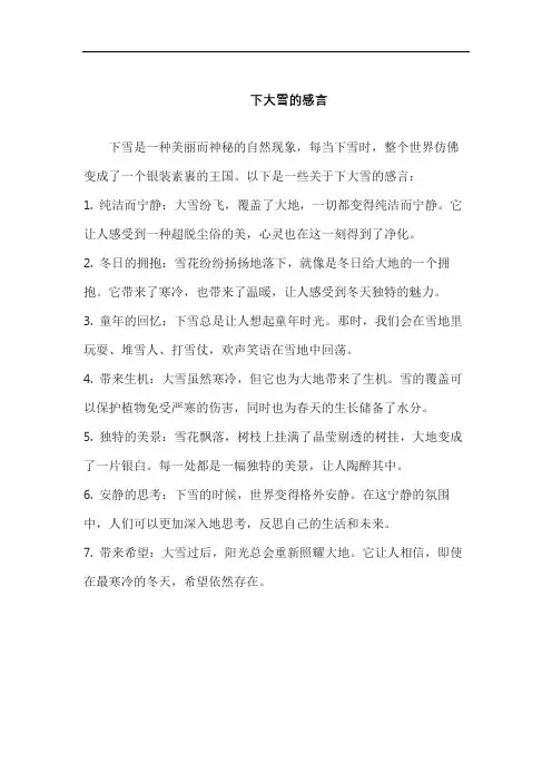 下大雪的感言