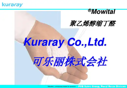 聚乙烯醇缩丁醛PVB