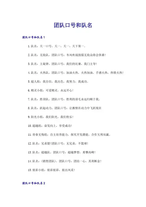 团队口号和队名