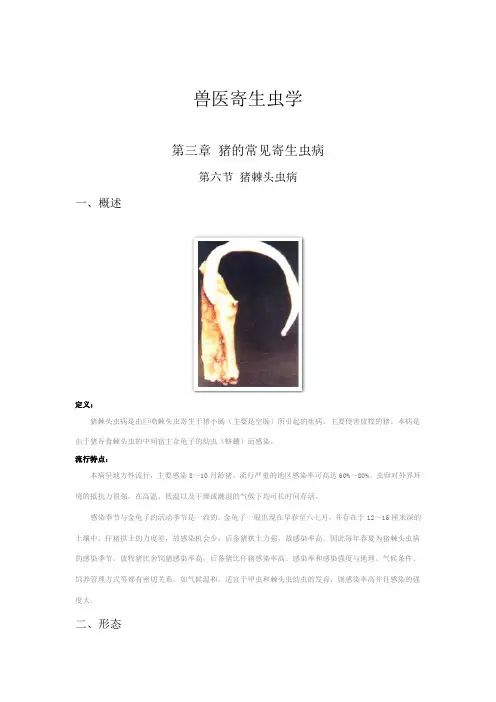 兽医寄生虫学--第三章 猪常见寄生虫病 第六节 猪棘头虫病