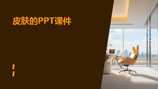 皮肤的ppt课件