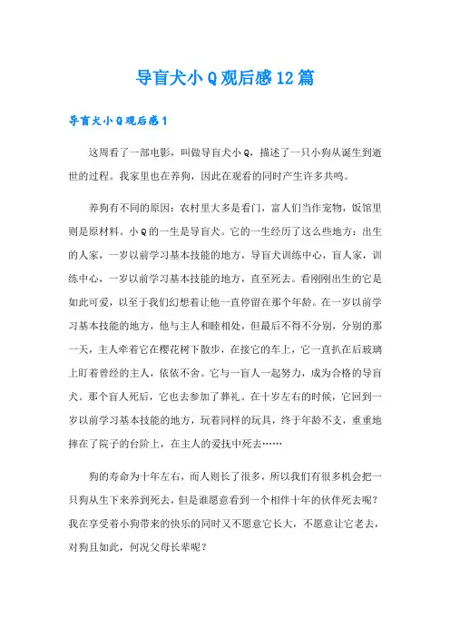 导盲犬小Q观后感12篇