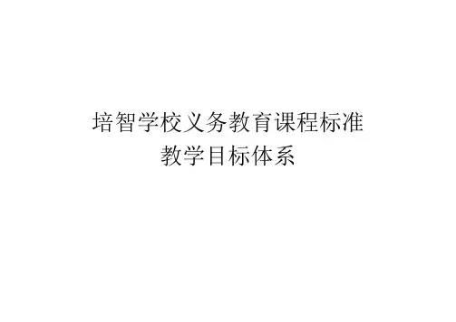 培智学校课程标准
