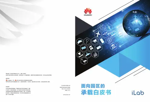 面向园区的承载白皮书说明书