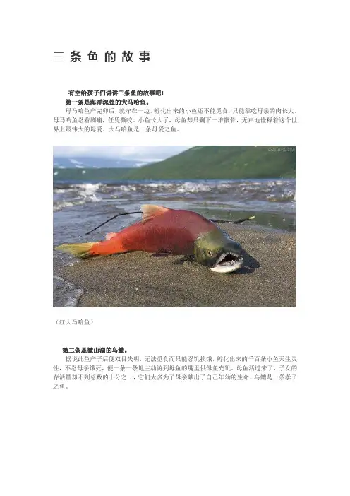 三条鱼的故事