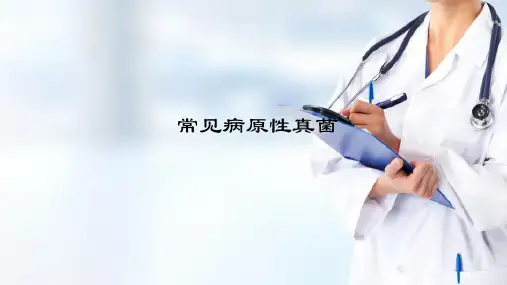 微生物学 真菌 常见病原性真菌