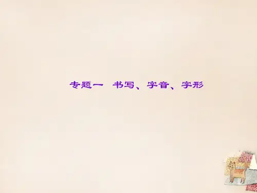 辽宁省2020中考语文专题复习 专题一 书写、字音、字形课件