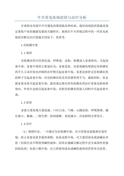 牛羊常见疾病症状与治疗分析
