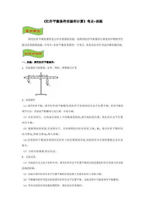 2020年中考物理-《杠杆平衡条件实验和计算》考点+训练