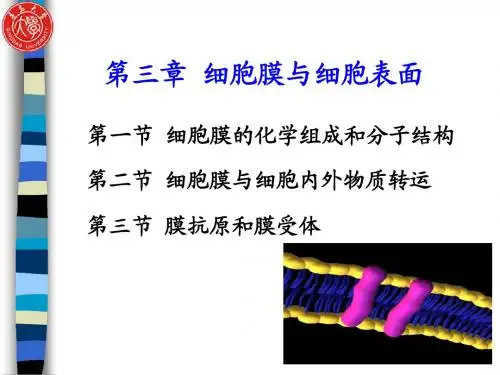 细胞生物学 第三章 细胞膜与细胞表面-1