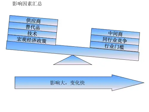 公司内外环境分析报告(ppt 19页)