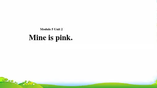 外研版五年级英语下册Module5unit2mineispink课件2