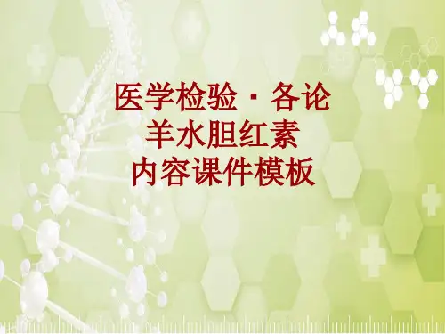 医学检验·检查项目：羊水胆红素_课件模板
