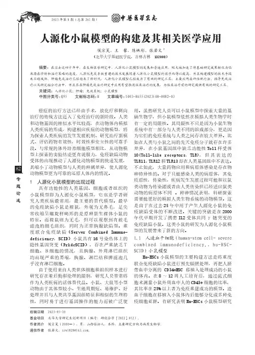 人源化小鼠模型的构建及其相关医学应用